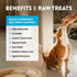 Northwest Naturals Raw Rewards Freeze-Dried Minnow Treats for Dogs and Cats, 1 Oz (Pack of 3)
