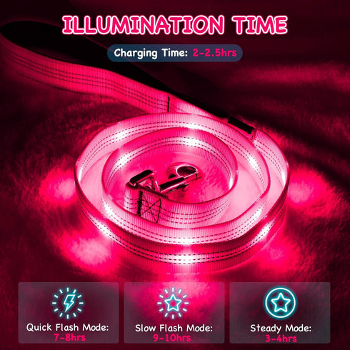 Glowing Light Up LED Dog Leash - 4ft USB Rechargeable Flashing Nylon Leash for Small Medium Large Dogs, 3 Flash Modes (Pink)