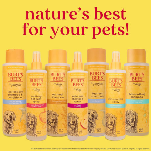Burt's Bees for Pets Itch Soothing Shampoo with Honeysuckle - Anti-Itch Dog Shampoo, 16 Ounces, Cruelty Free, USA Made
