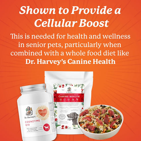 Dr. Harvey's Coenzyme Q10, Heart & Cardiovascular Support Supplements for Dogs, 60 Capsules