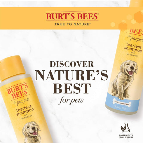 Burt's Bees for Pets Tearless Puppy Shampoo - Naturally Derived with Buttermilk, 16 Ounces, 6 Pack