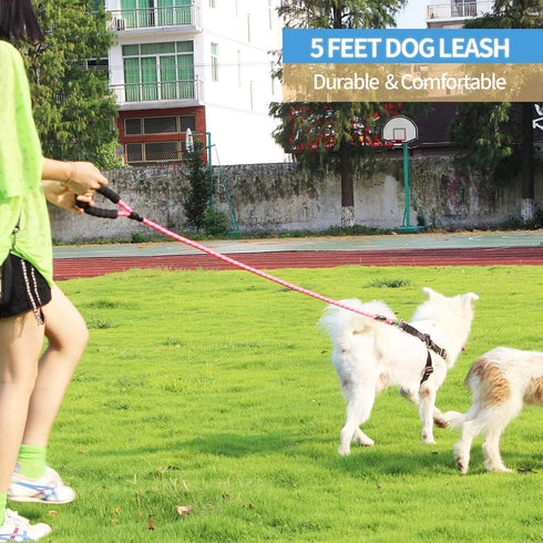 BAAPET 2/4/5/6 FT Dog Leash with Comfortable Padded Handle and Reflective Threads for Small Medium Large Dogs, Pink