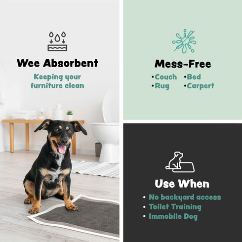 10 36" 36" Disposable Puppy Pads Potty Training - Activated Charcoal Pee Pads for Dogs with Attractant - Wee Wee
