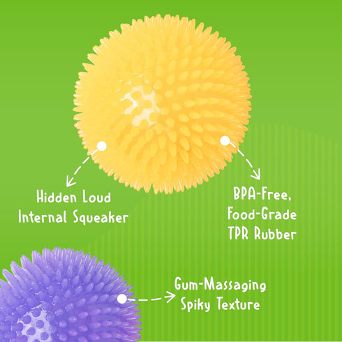 Gnawsome 3.5", Medium Squeaker Ball Dog Toy, Medium Colors will vary, All Breed Sizes
