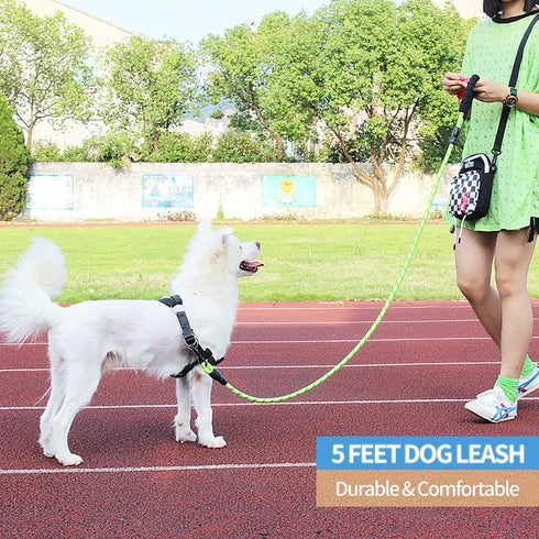 BAAPET - 2/4/5/6 FT Dog Leash with Comfortable Padded Handle for Small Medium and Large Dogs (5FT-1/2'', Green)