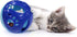 Pets First Large Size Cat Ball with Bell Toy for Cats Kittens and Other Animals - Hours of Play for Pets | Large Size