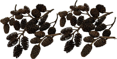Awesome Aquatic Alder & Casuarina Cones, Betta Shrimp Tank, Promotes Natural Habitat (50 Pack Alder)
