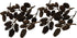 Awesome Aquatic Alder & Casuarina Cones, Betta Shrimp Tank, Promotes Natural Habitat (50 Pack Alder)