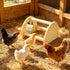Cubolar Pine Chicken Perch with Mirror, Strong Chick Jungle Gym Roosting Bar, Chicken Toys for Coop and Brooder