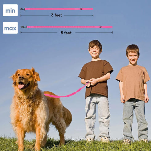 Mile High Life Bungee Dog Leash, Gentle Pull Training Lead for Dogs/Cats Under 20 lb, Soft Comfort Texture, 3-5 Feet