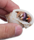 Store 2 Now+4oz 2 Nature Gift Live Hermit Crabs Shipped Hermit Crab Food: Land Crabs with Extra Shells