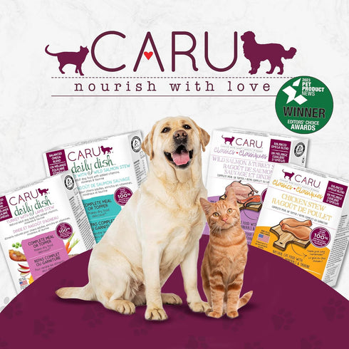 Caru Daily Dish Turkey with Wild Salmon Stew, Natural Adult Wet Dog Food, 12.5 oz, 12 Pack
