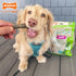 Nylabone Nutri Dent Dog Dental Chews, Fresh Breath Flavor, Medium (20 Count) - Natural Dog Teeth Cleaning & Breath