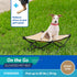 COOLAROO On the Go Cooling Elevated Dog Bed - Portable for Travel & Camping, Standard, Desert Sand