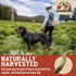 Heartland Deer Antlers for Dogs, Grade A Naturally Shed Antlers, Chew Toy for Aggressive Chewers & Teething Puppies