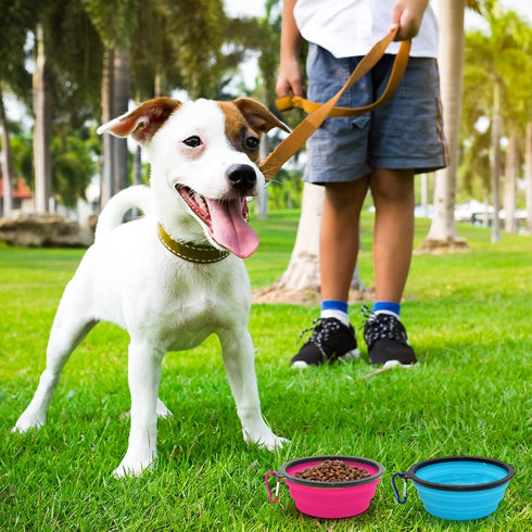 2-Pack Small Dog Travel Bowl, Collapsible Bowls for Dogs, Portable Pet Feeding Watering Dish
