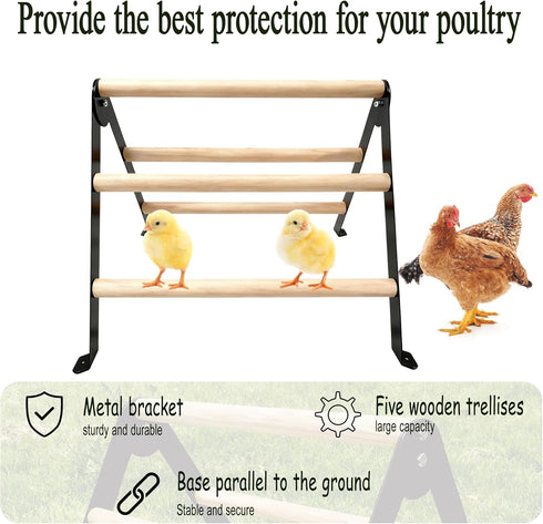 XINYI Parrot,15.7"L 17.7"W 13.2"H Baby Chick Perch Toys for Coop, Metal Stand with Natural Wooden Roosting