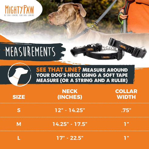 Mighty Paw Martingale Dog Collar 2.0, Trainer Approved Limited Slip Collar with Heavy Duty Buckle, Medium, Black