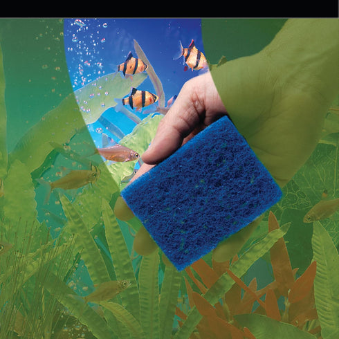 Penn-Plax WZP1 Wizard Grime Scrubber Pad - 3” x 4” for Glass Tanks