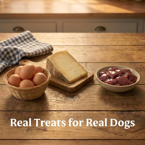 4 oz Bil-Jac Breakfast Jacs Soft Dog Treats | Egg & Cheese Flavor |