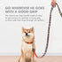 Star Wars for Pets The Mandalorian 4 Foot Dog Leash, 48 Inches, Orange Nylon Leash for All Dogs