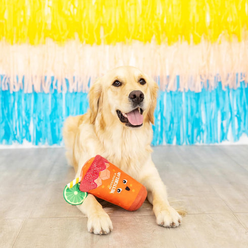 Fringe Studio Plush Dog Toy, Muttchelada, Pet Shop Collection (314162)