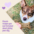 20 oz Wellness Old Mother Hubbard Hip & Joint Dog Biscuits, Natural Training Treats, Chicken, Apple, Oats, and Carrot