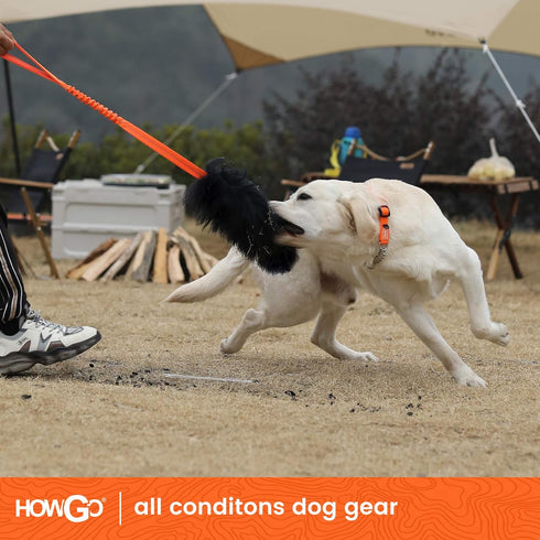HOWGO Dog Rope Toy, 100% Sheepskin Bungee Chaser Tug Toy for All Breeds (Orange, Long Without Ball)