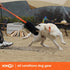 HOWGO Dog Rope Toy, 100% Sheepskin Bungee Chaser Tug Toy for All Breeds (Orange, Long Without Ball)