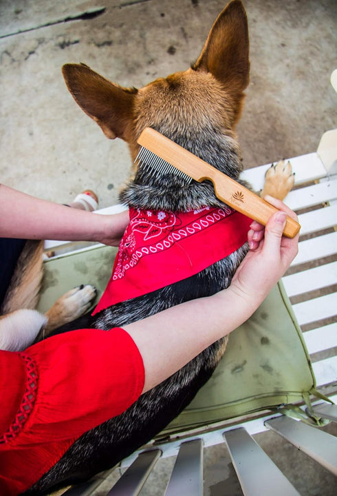 Detangling Pet Comb for Matted Hair - Natural Easy Grooming Tool with Long & Short Stainless Steel Teeth for Dog and Cat
