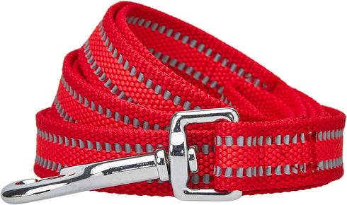 Blueberry Pet Essentials Reflective Dog Leash, Rouge Red, 5 ft x 3/4", Medium Size for Dogs