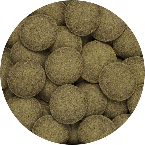 Hikari Algae Wafers for Pets; 0.70-Ounce
