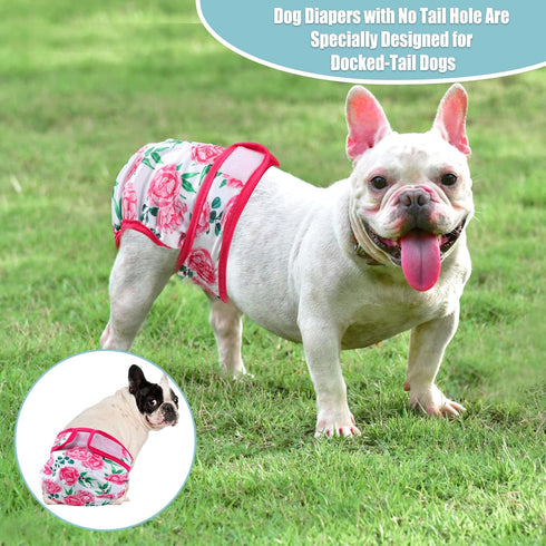 wegreeco Frenchie Dog Diapers Female No Tail Hole,Washable Pet French Puppy Bulldog Diapers Female for Period