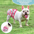 wegreeco Frenchie Dog Diapers Female No Tail Hole,Washable Pet French Puppy Bulldog Diapers Female for Period