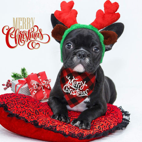 SATINIOR 4 Pcs Adjustable 3D Christmas Dog Santa Hat - Classic Buffalo Plaid Scarf, Reindeer Antlers Headband for Pets