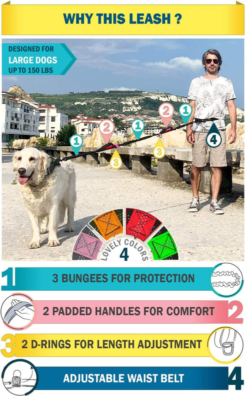 Correa para perro Manos libres para correr, caminar, entrenamiento canino, excursionismo | Tamaño: Perros