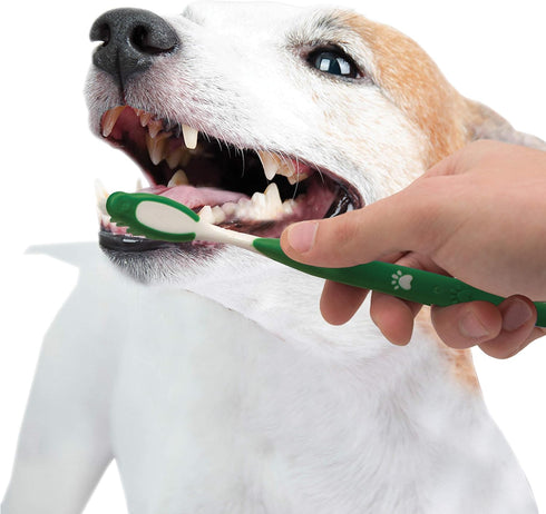 Nylabone Advanced Oral Care Natural Dog Dental Kit, Peanut Flavor, 2.5 oz.