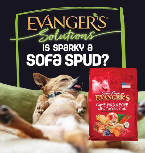 Evanger's Super Premium Gamebird Recipe with Coconut Oil Dry Food for Dogs