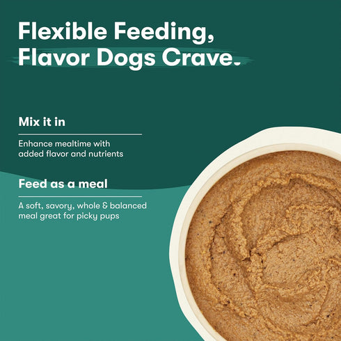12-Pack, 13 Oz Jinx Premium Wet Dog Food Cans - Beef Pate - Grain-Free Canned Dog Food Pate & Topper with Real