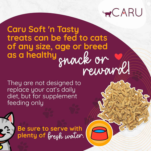 CARU Soft ‘n Tasty Baked Bites, Salmon Bites Cat Treats - Flavorful All-Natural Treats, 3 oz