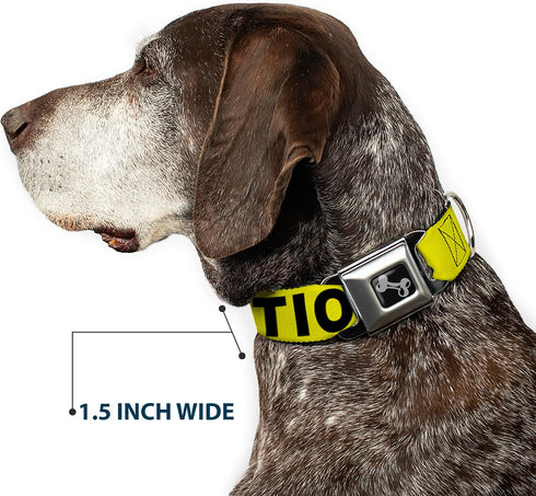 Buckle-Down Dog Collar, Wide Small, Caution Yellow/Black, 13-18"