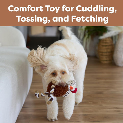 SPOT 12" Gigglers Chicken Dog Toy with Giggle Sound, Textured Plush Tug Toy with Rope Legs, for Small and Medium Dog