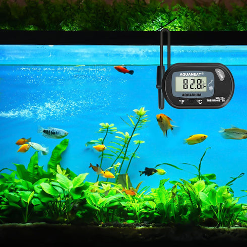 AQUANEAT Aquarium Thermometer, Digital Fish Tank Temperature Test, Large LCD Display (3 Packs)