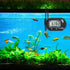 AQUANEAT Aquarium Thermometer, Digital Fish Tank Temperature Test, Large LCD Display (3 Packs)
