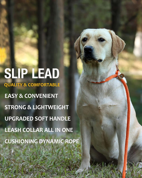 Lynxking Dog Training Leash Slip Lead - Strong Heavy Duty Braided No Pull, 5, 6, 8 FT