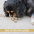 Wild Eats 3 OZ Cod Single Ingredient Dog Treats, Chews & Snacks - Great Alternative to Dog Bones