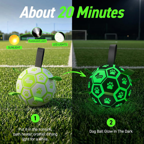 (8 Inch) QDAN Glow in The Dark Dog Toys Soccer Ball with Straps - Light Up Dog Balls for Large Dogs, Interactive Dog