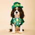 St. Patrick Dog Cat Bandana, Holiday 2 Pack Irish Rainbow Shamrock Scarfs for Small Medium Large Pets