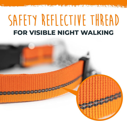 Mighty Paw Martingale Dog Collar 2.0 - Trainer Approved Limited Slip Collar with Heavy Duty Buckle, Large, Orange