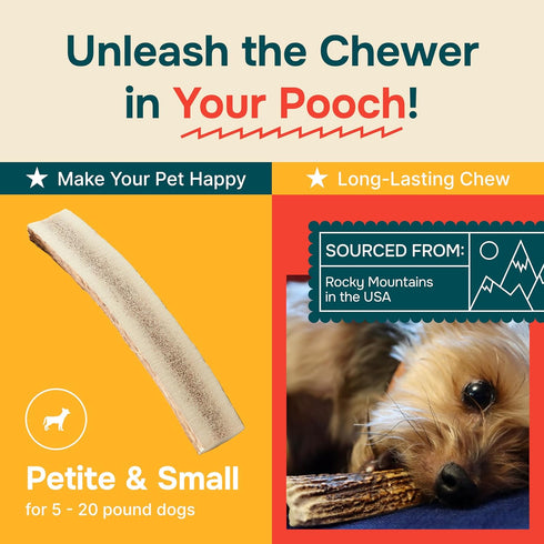 Split Elk Antler Chew for Small Dogs, Grade A, Long Lasting, Organic Treats & Toys, Naturally Shed